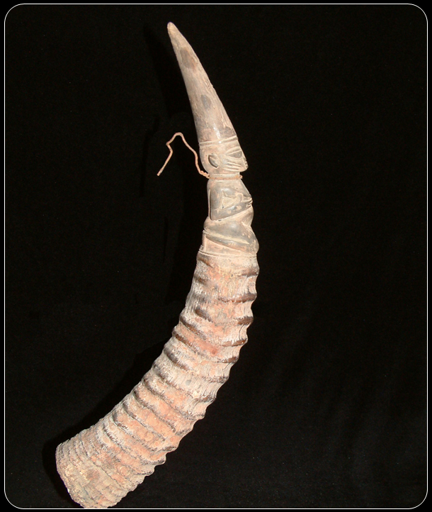 Divination Instrument Spring Buck horn grains of africa