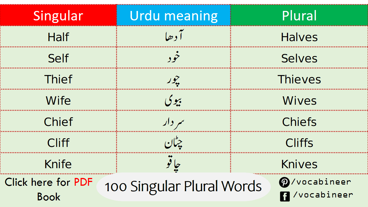 100 Singular and Plural Words List in English Grammareer
