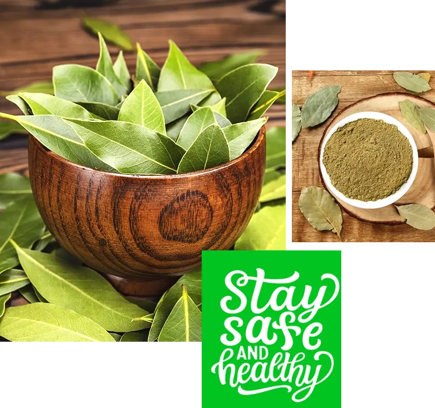 Bay Leaf Extract Manufacturers in India