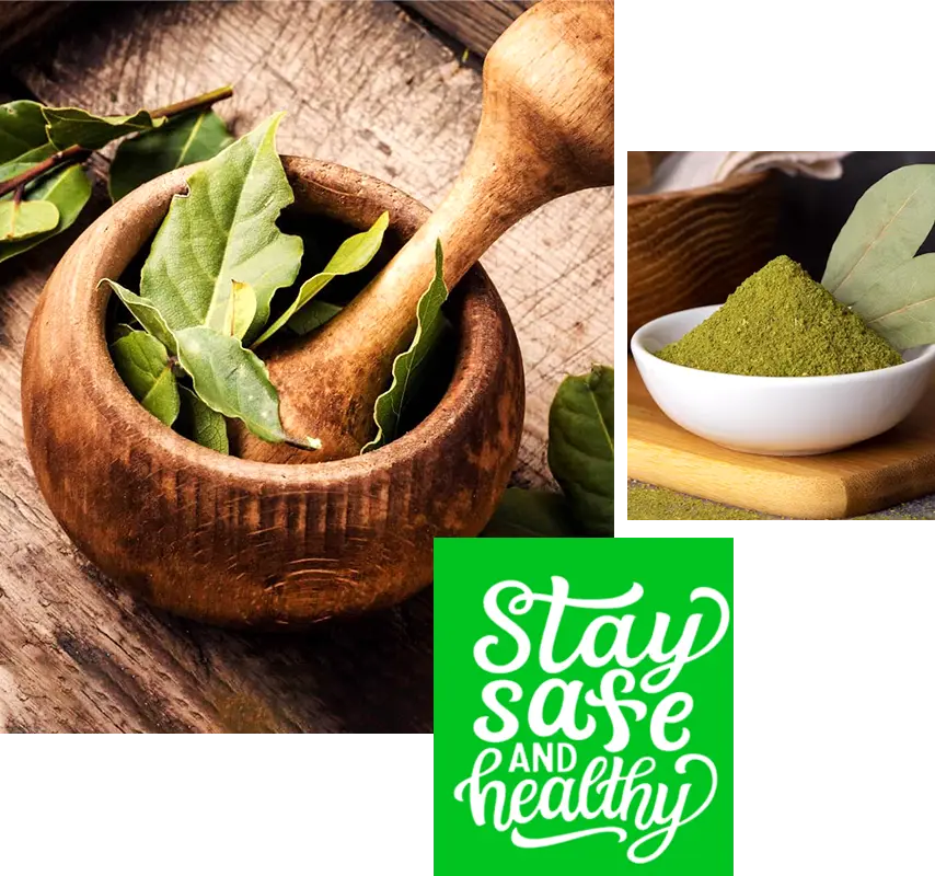 Bay Leaf Extract Manufacturers in India