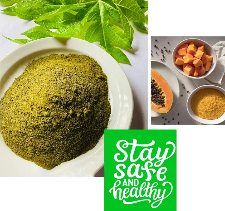 Papaya Leaves Extract Manufacturers In India Gramme Products