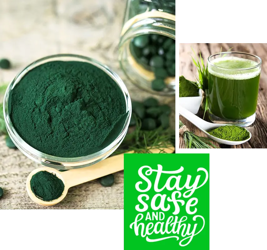Spirulina Extract Manufacturers In India Gramme Products