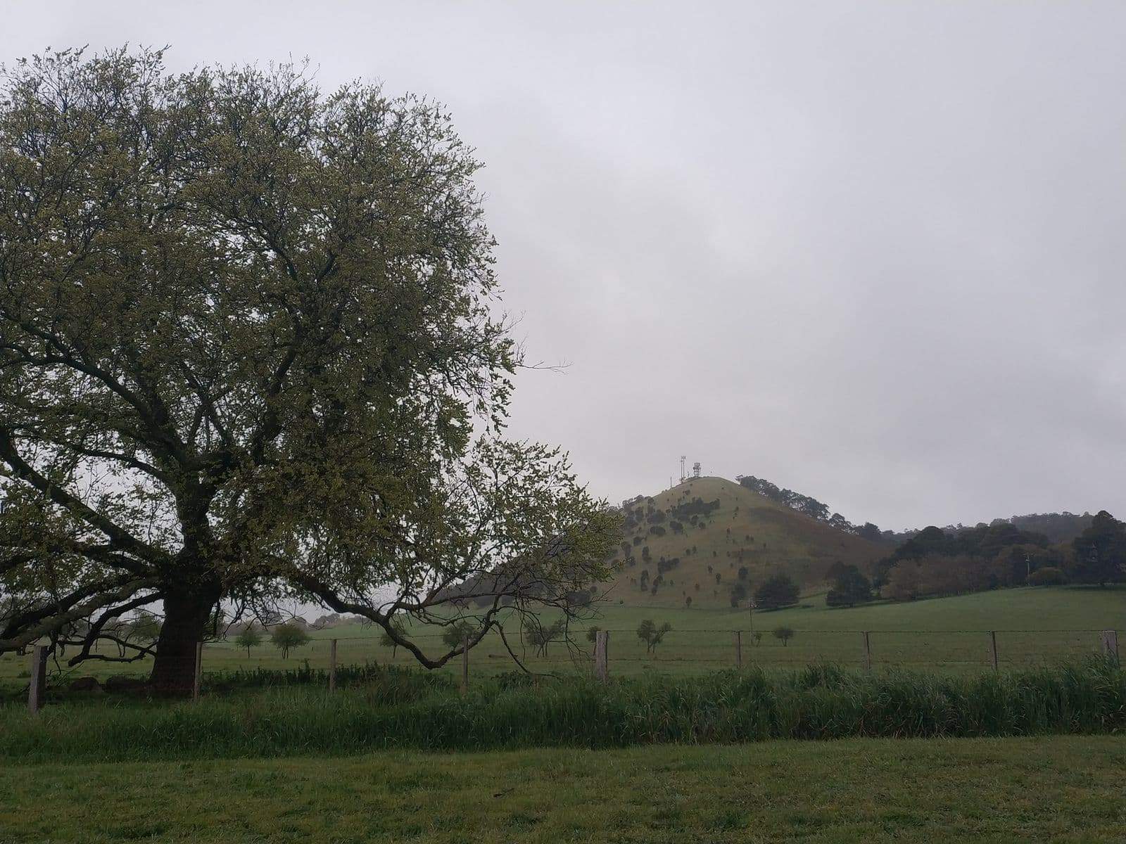Mount Rouse Penshurst Volcano Summit Walk, Grampians Victoria