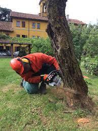 Giardiniere Specializzato In Giardini E Parchi Storici | Grandi Giardini Italiani 259_x_194_jpg