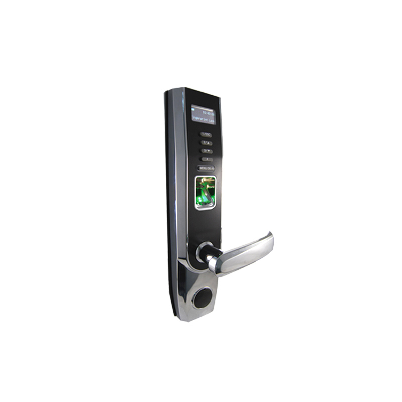 China Chinese Professional Wireless Door Lock 125KHZ Card Fingerprint door Lock with USB And