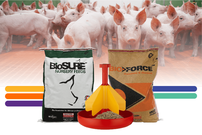 New & Updated Early Nursery Feeding Programs Designed to