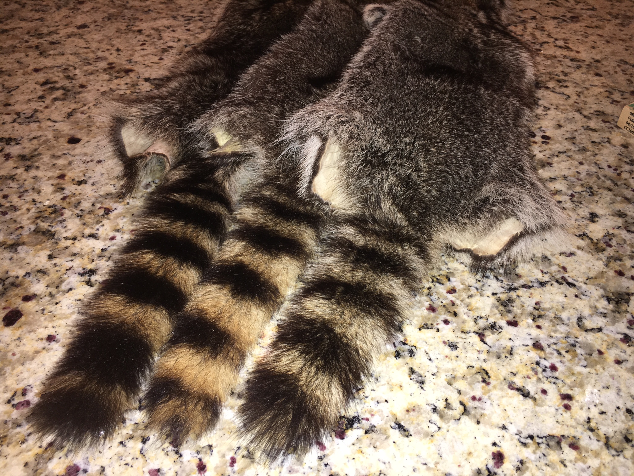 How To Professionally Tan A Pelt Grand View Outdoors