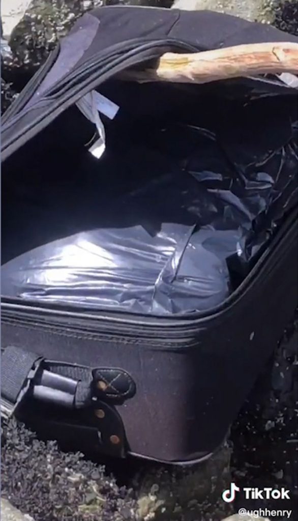 Teens on TikTok discover suitcase stuffed with human remains > Granite