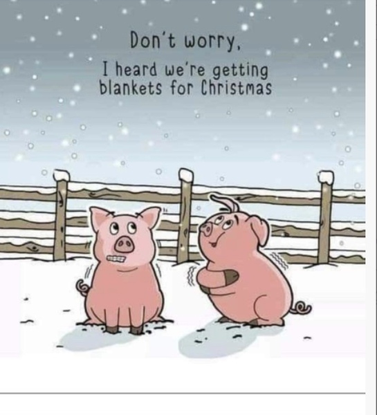 16 pigs in blankets, just for me and dh!