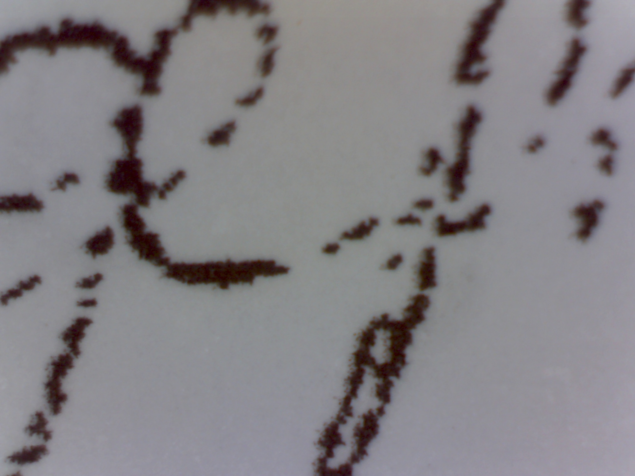 Line Quality in the Examination of Handwriting Graphanex