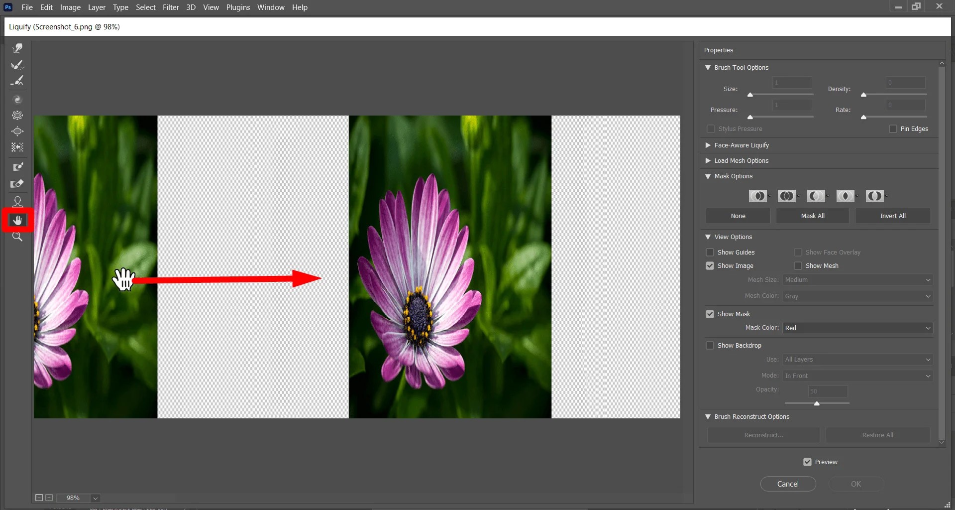 How To Use Liquify Filter Tool Ultimate Guide