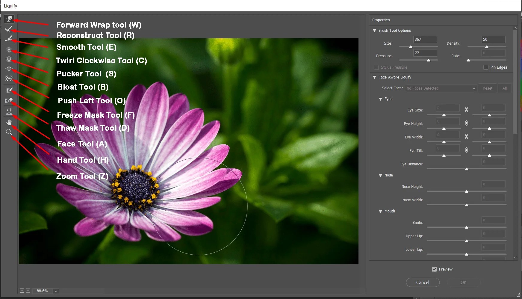 How To Use Liquify Filter Tool Ultimate Guide