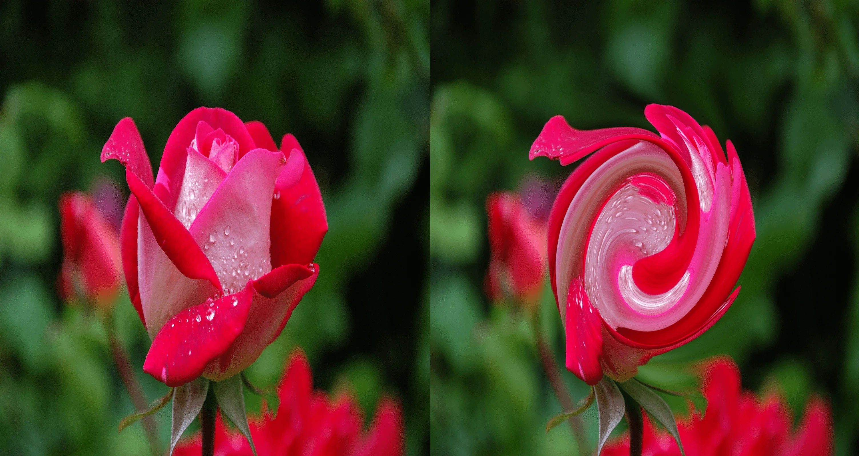 How To Use Liquify Filter Tool Ultimate Guide