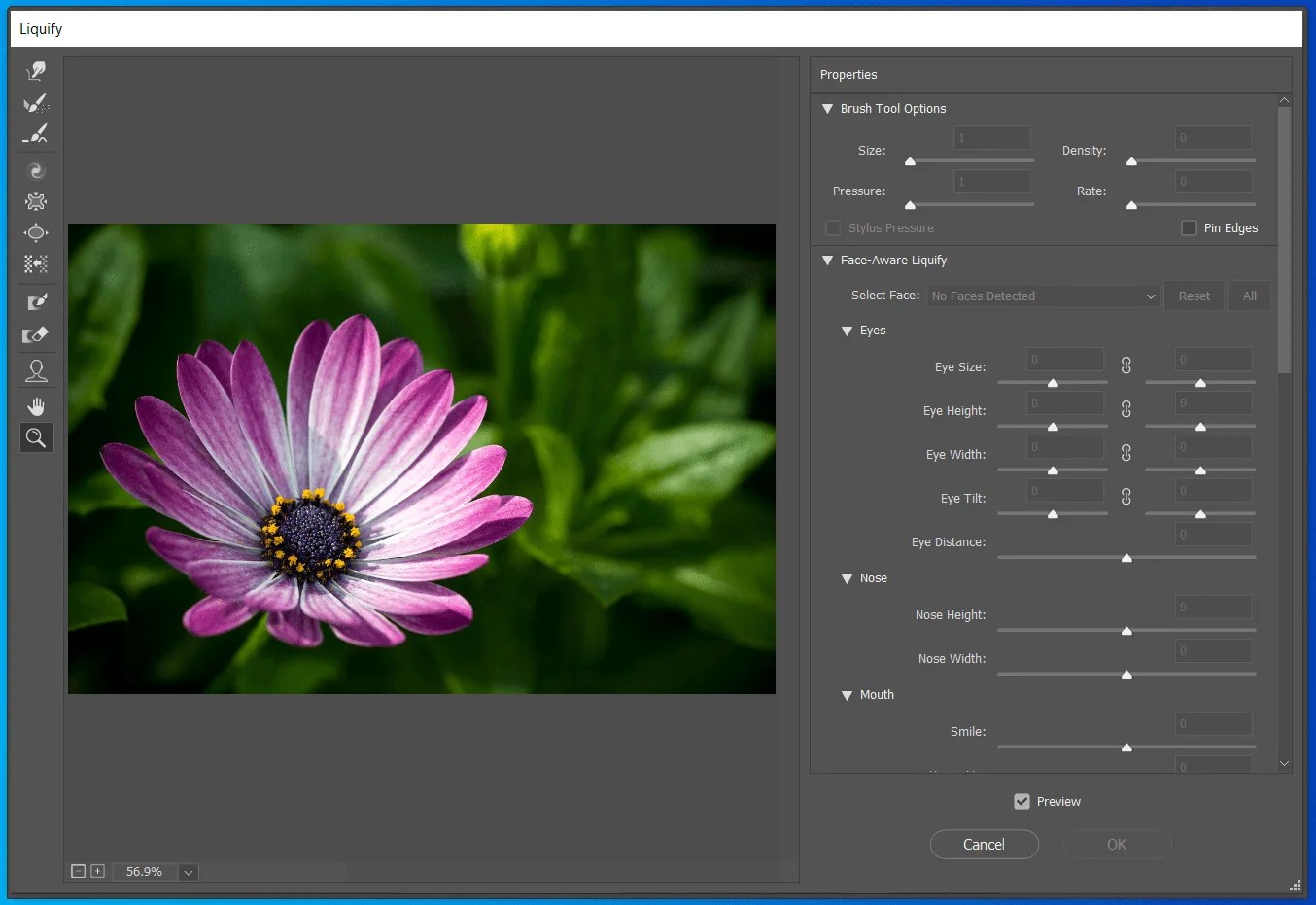 How To Use Liquify Filter Tool Ultimate Guide