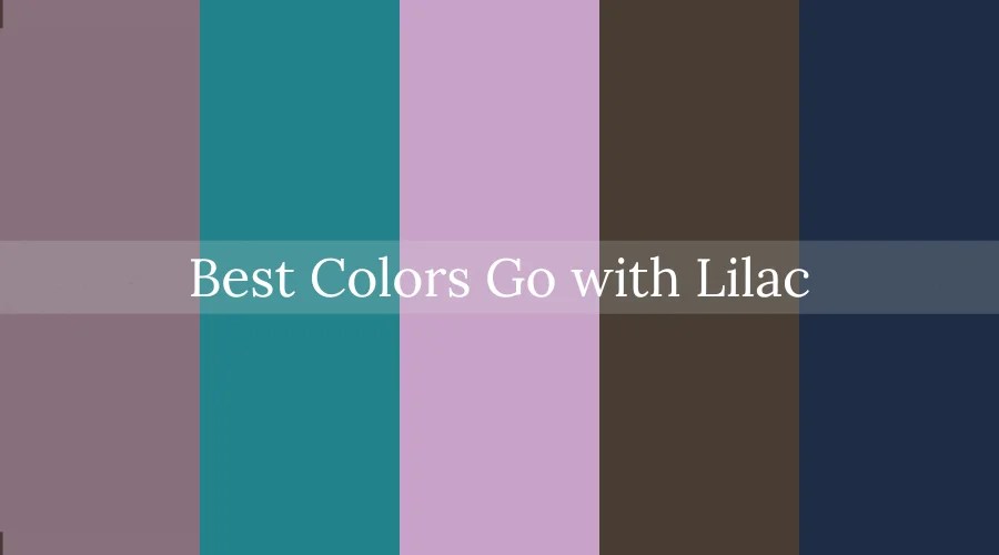 Lilac Color's Best Uses For Design In 2025