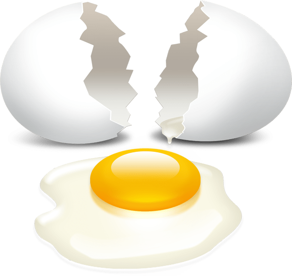 Gallery For > Cracked White Egg