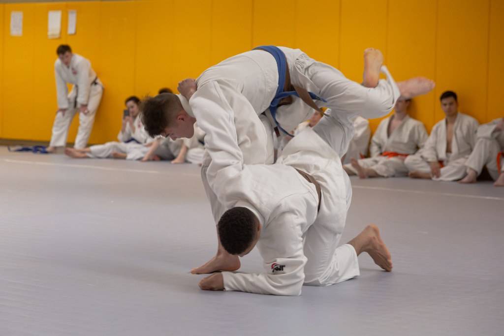 Judo vs Jiu Jitsu The Differences Explained Grappler HQ