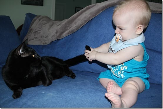 Baby Tips, 2.0 Grasping for Objectivity