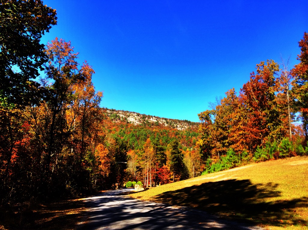 On The Appreciation of Autumn. Grasping for Objectivity