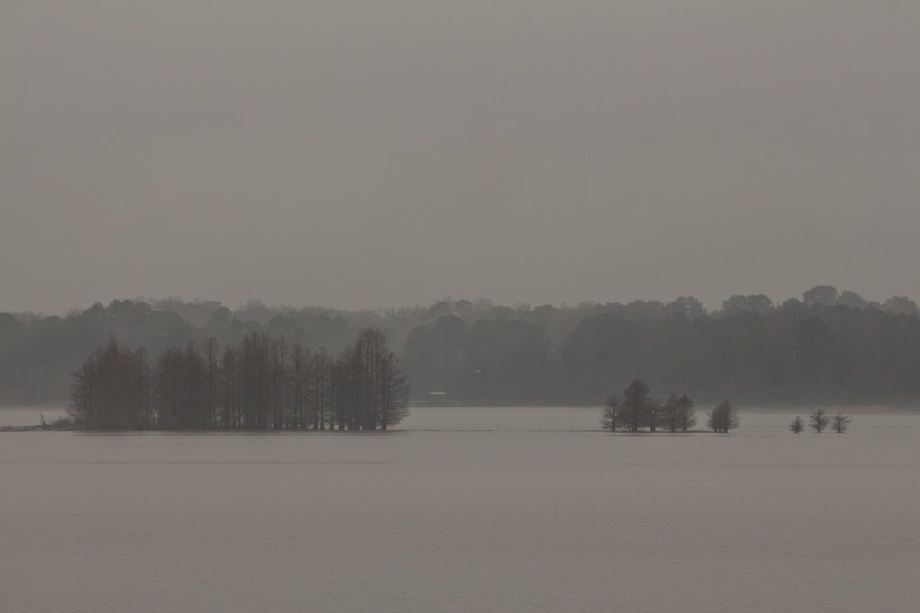 Returning to Eufaula Grasping for Objectivity