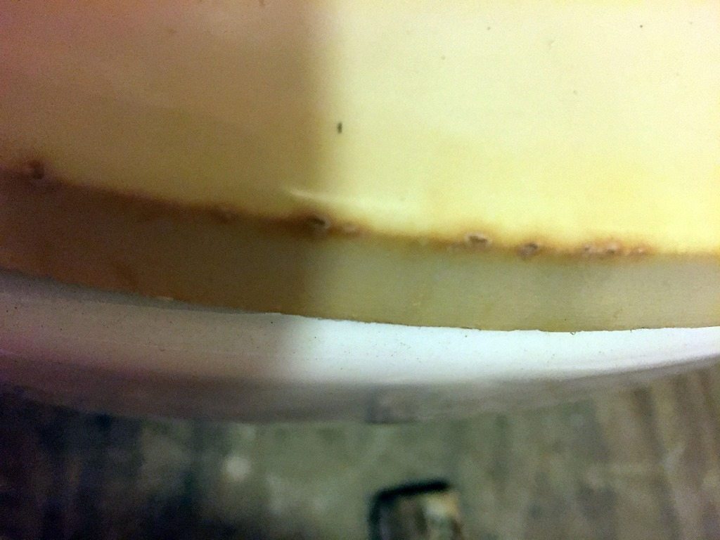 A Burning Question About Toilets. Grasping for Objectivity