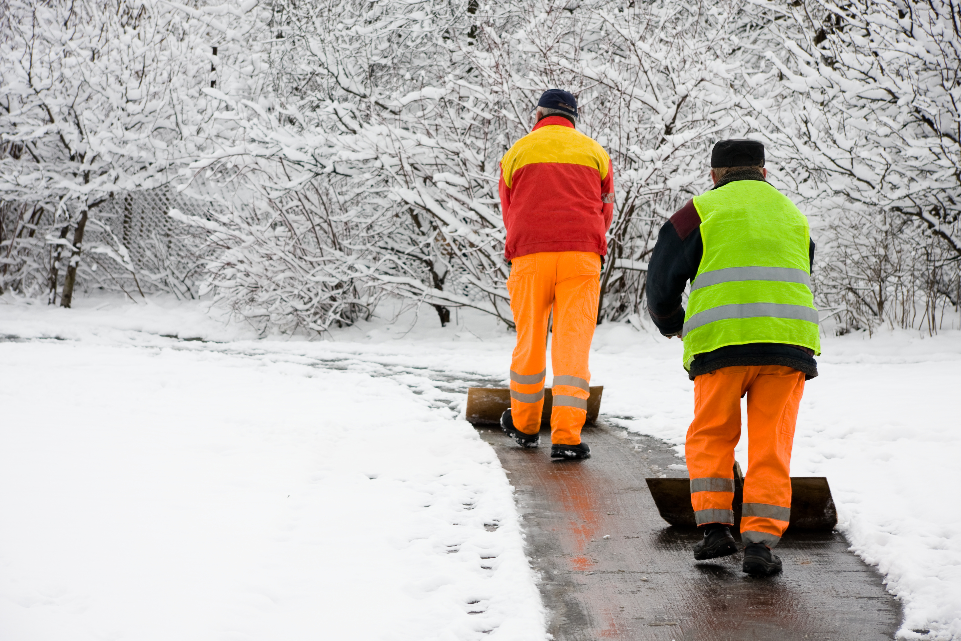 Snow Removal Residential Lawn Care Livonia Grass