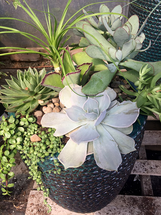 Services Grass Farm Garden Accents Grass Farm Garden Accents