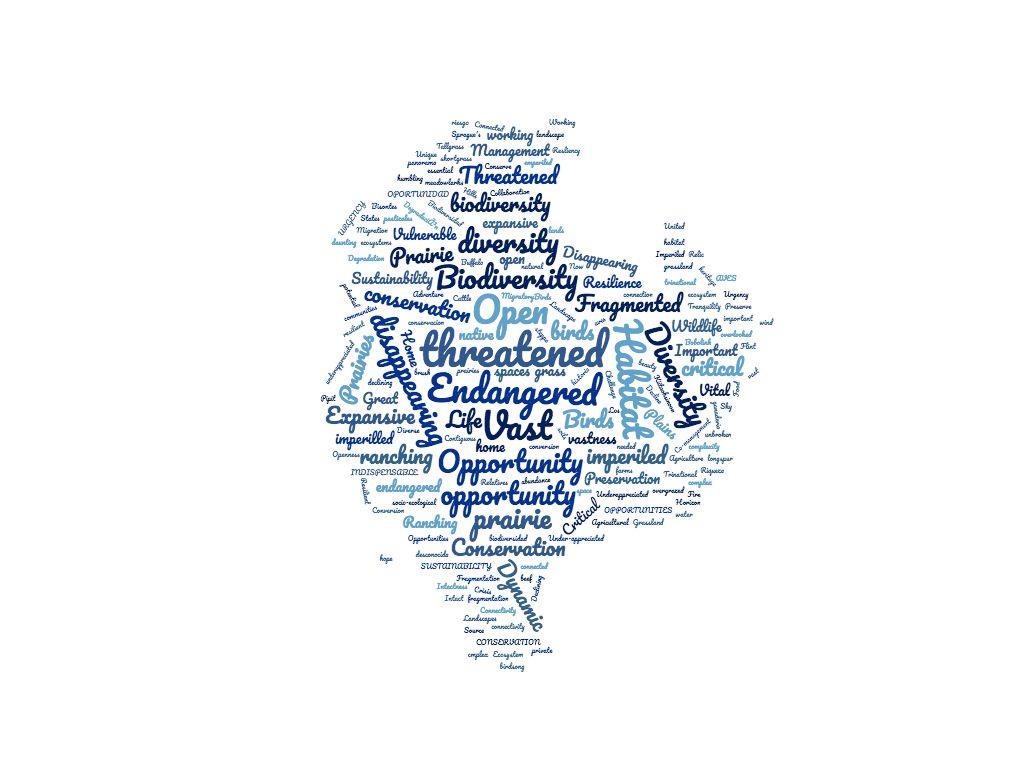 2020 Summit — Central Grasslands Roadmap