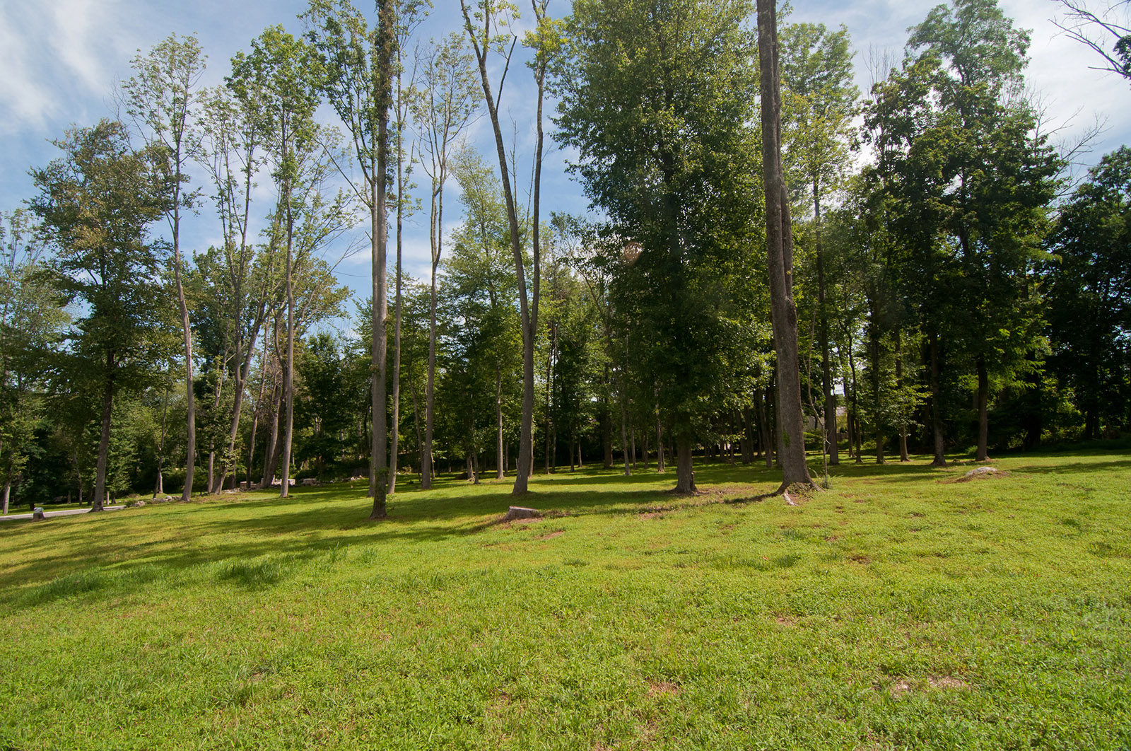 334 Hook Road Grasso Development Corp