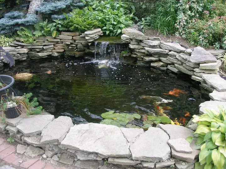 How Much Does It Cost To Build A Pond?