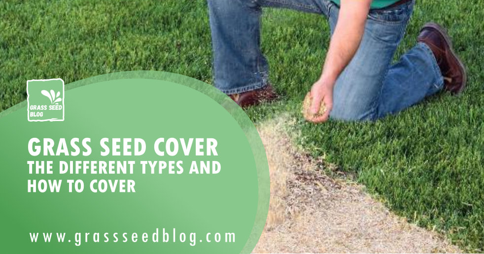 Grass Seed Cover The Different Types and How to Cover