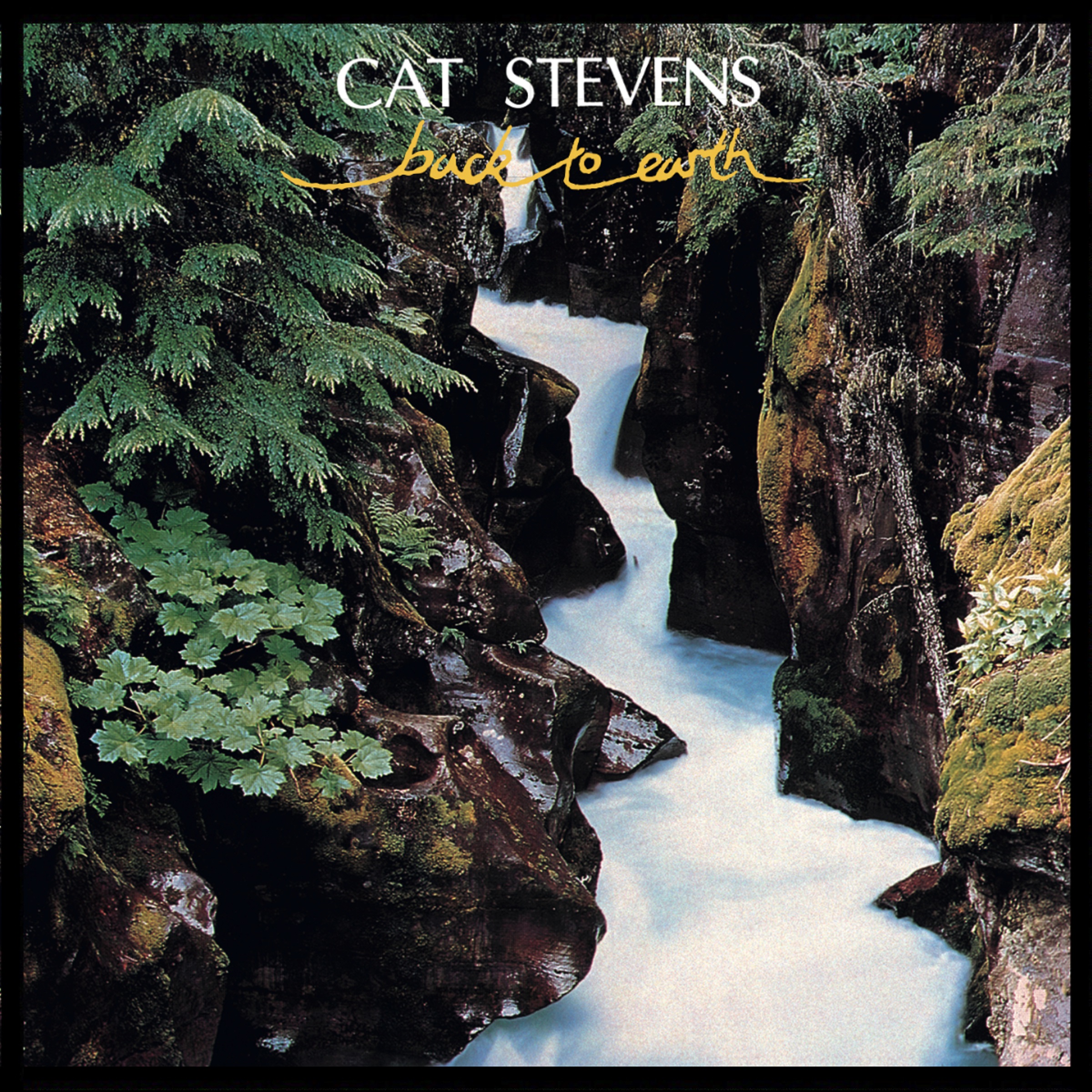 Yusuf/Cat Stevens Remasters "Back to Earth" Grateful Web