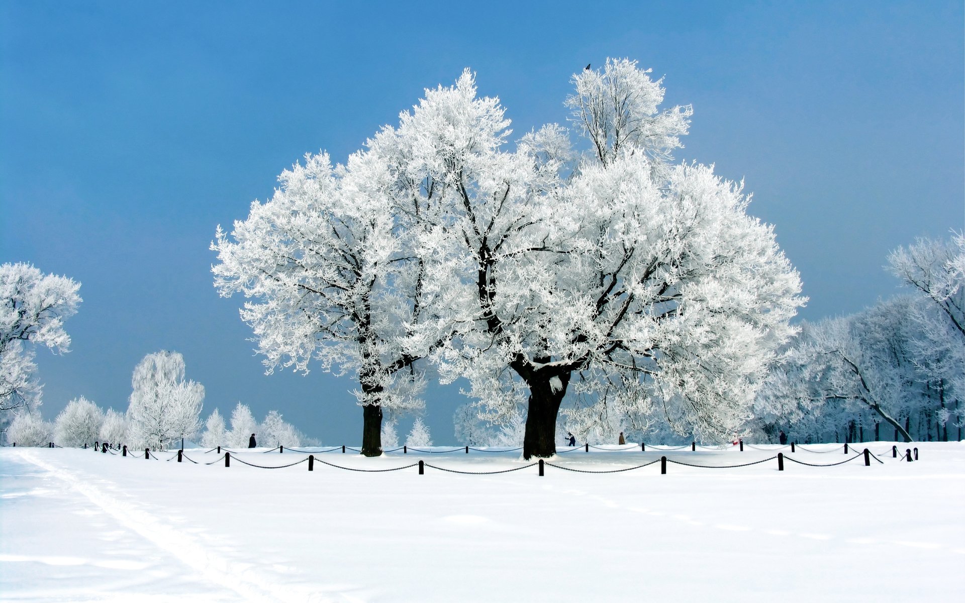 Fondos de Invierno con paisajes nevados, Wallpapers