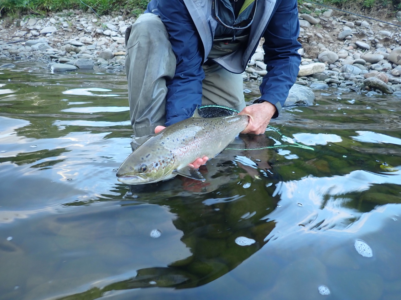 Fly Fishing Archives Gray's Sporting Journal