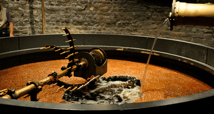 fermentation