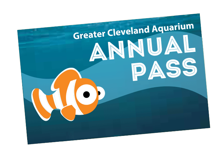 Annual Passes Greater Cleveland Aquarium