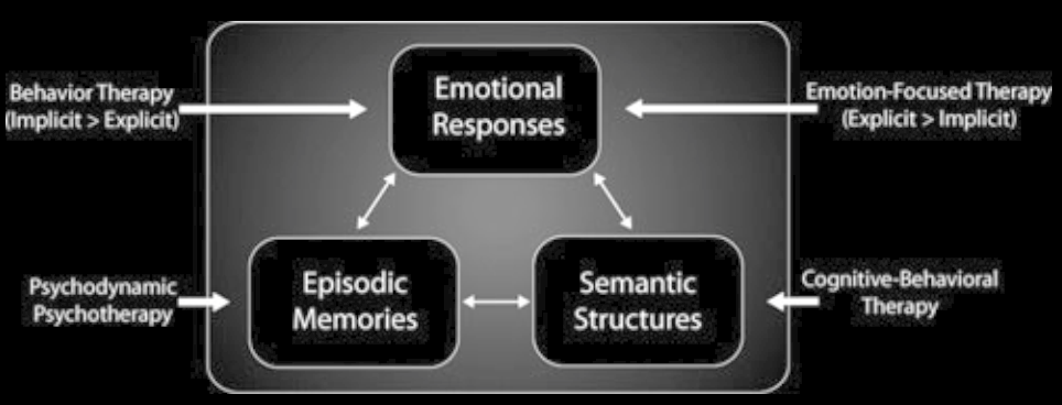 Unlocking the Emotional Brain Coherence Therapy