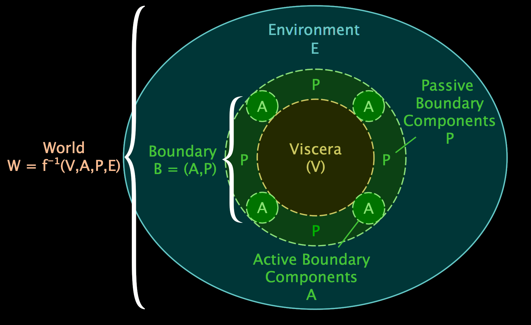 «Boundaries», Part 3a Defining boundaries as directed Markov blankets