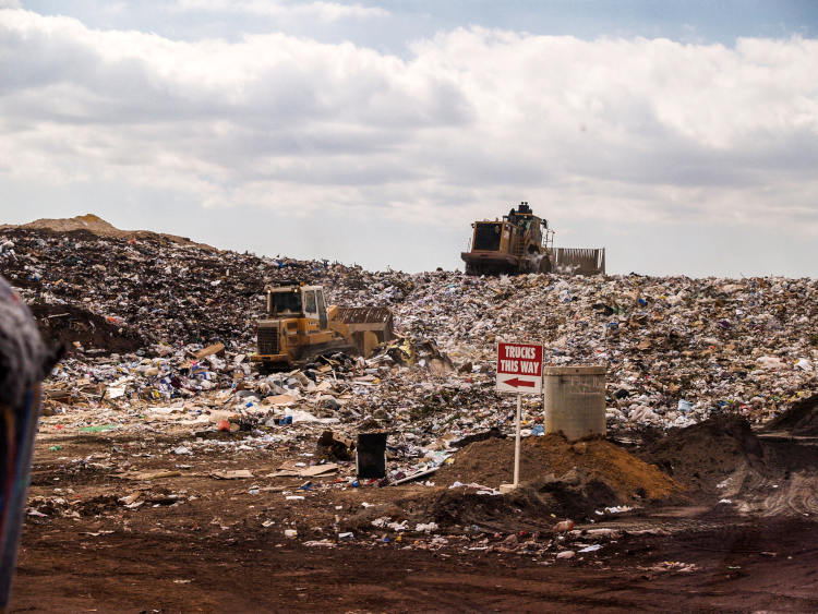 2021 Darwin Game Human Garbage Dump LessWrong 2.0 viewer