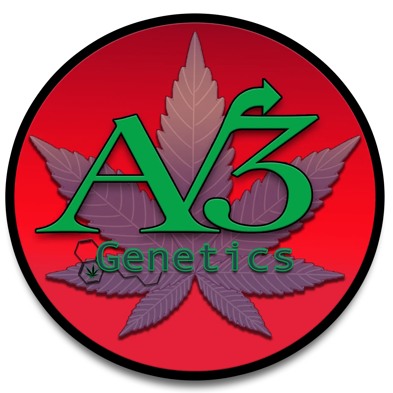 AV3 Superior Widow (10 seeds) Great Lakes