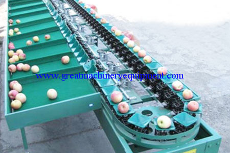 Fruits Sorting Machine|Great Machinery Equipment