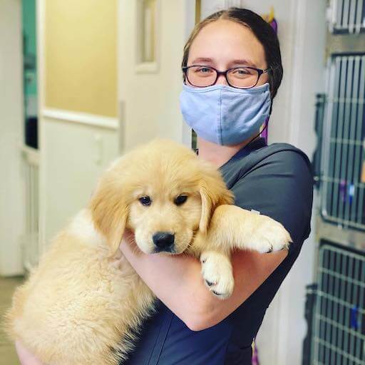 how much do vet techs make an hour in virginia Donella Zhang