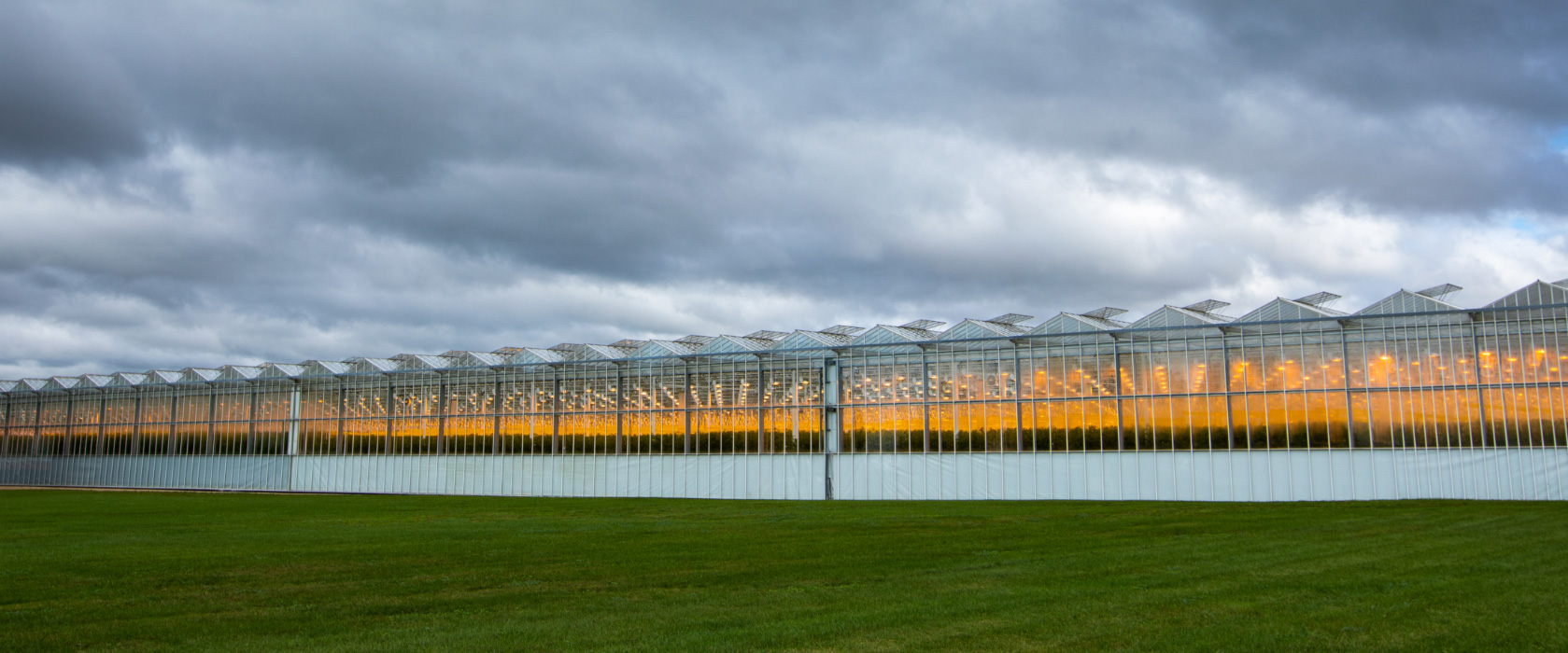 Media Great Northern Hydroponics