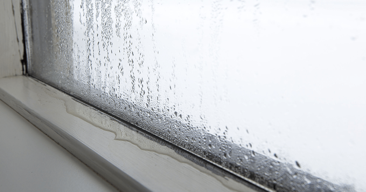 What is Condensation Resistance for Windows and Doors? Great Plains