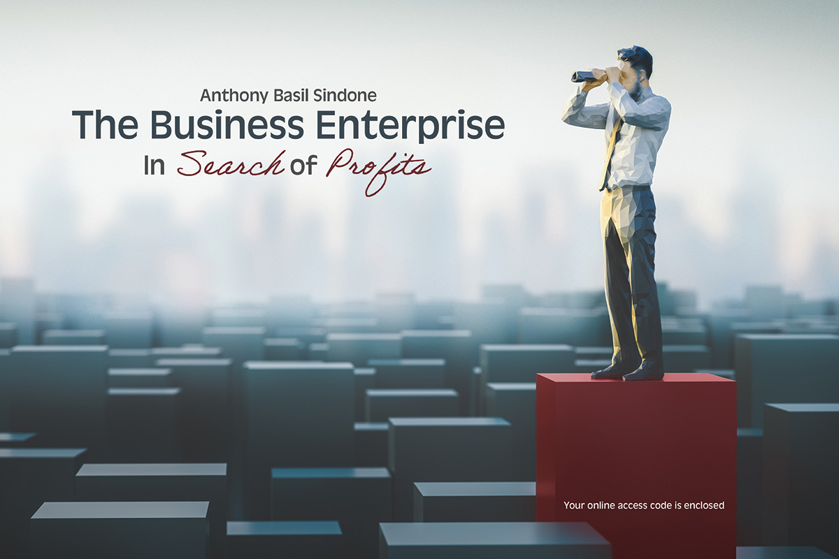 Product Details The Business Enterprise In Search of Profits Great