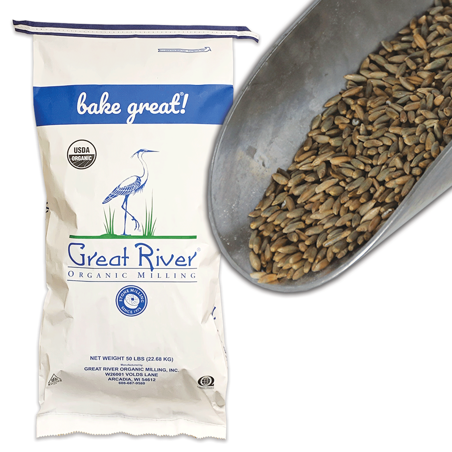 ージャージ Bulk Grains Rye Organic Whole Berry 50 Count：Glomarket にカタカナ