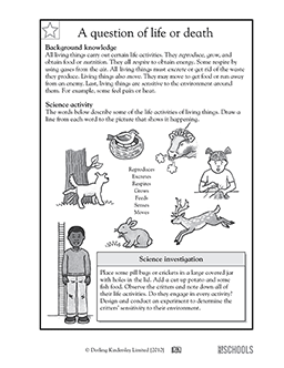 A question of life or death | 3rd grade, 4th grade Science Worksheet