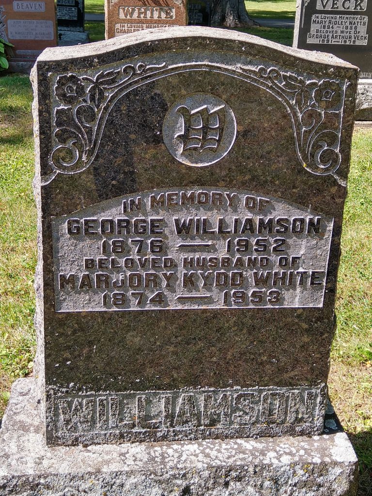 Williamson Great War Dundee This is Dundee's story of those