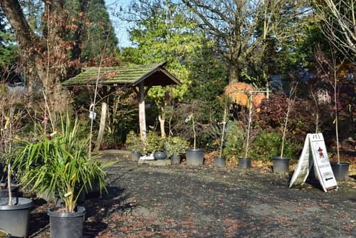 22 Best Things to do in Grand Mound, Washington in [2020]