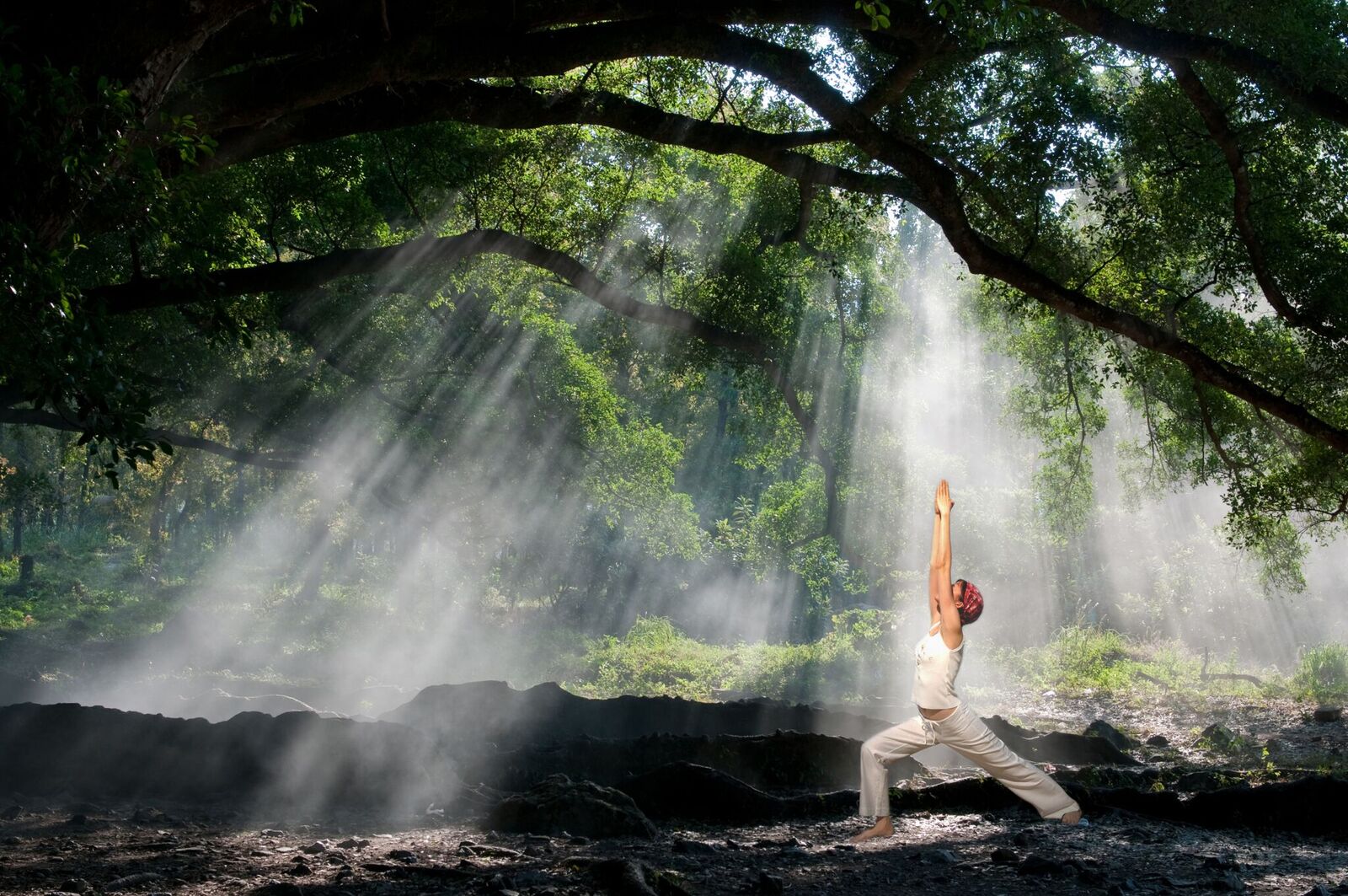 The Five Best Yoga Retreats in India ⋆ Greaves India